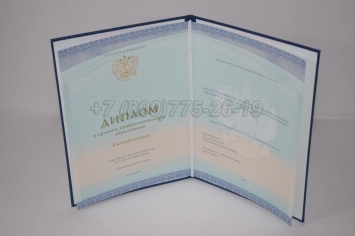 Диплом Техникума 2024г СпецБланк в Нальчике